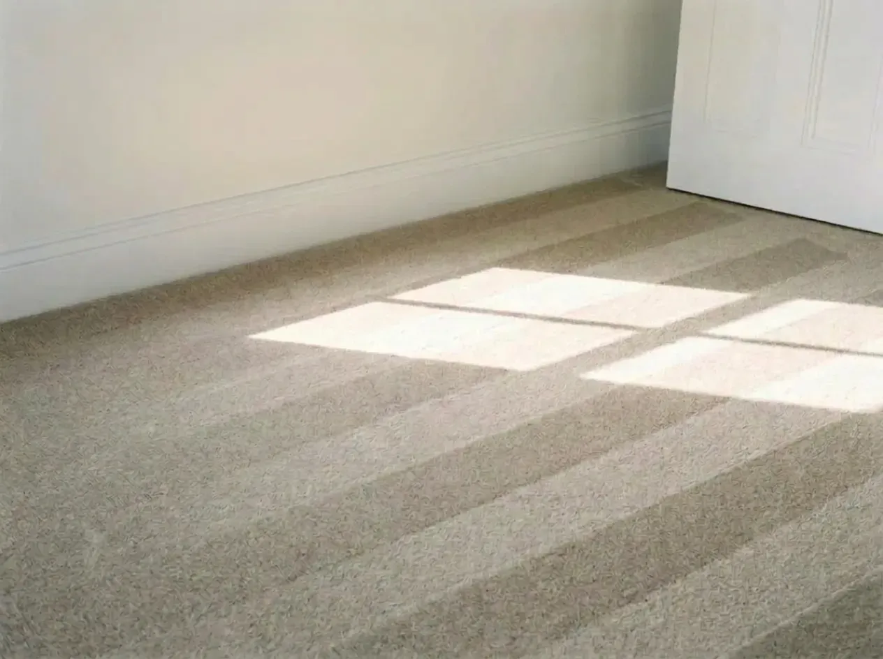 Freshly vacuumed carpet in an empty bedroom after an end of lease clean, late afternoon sun falling across the pile through a timber sash window